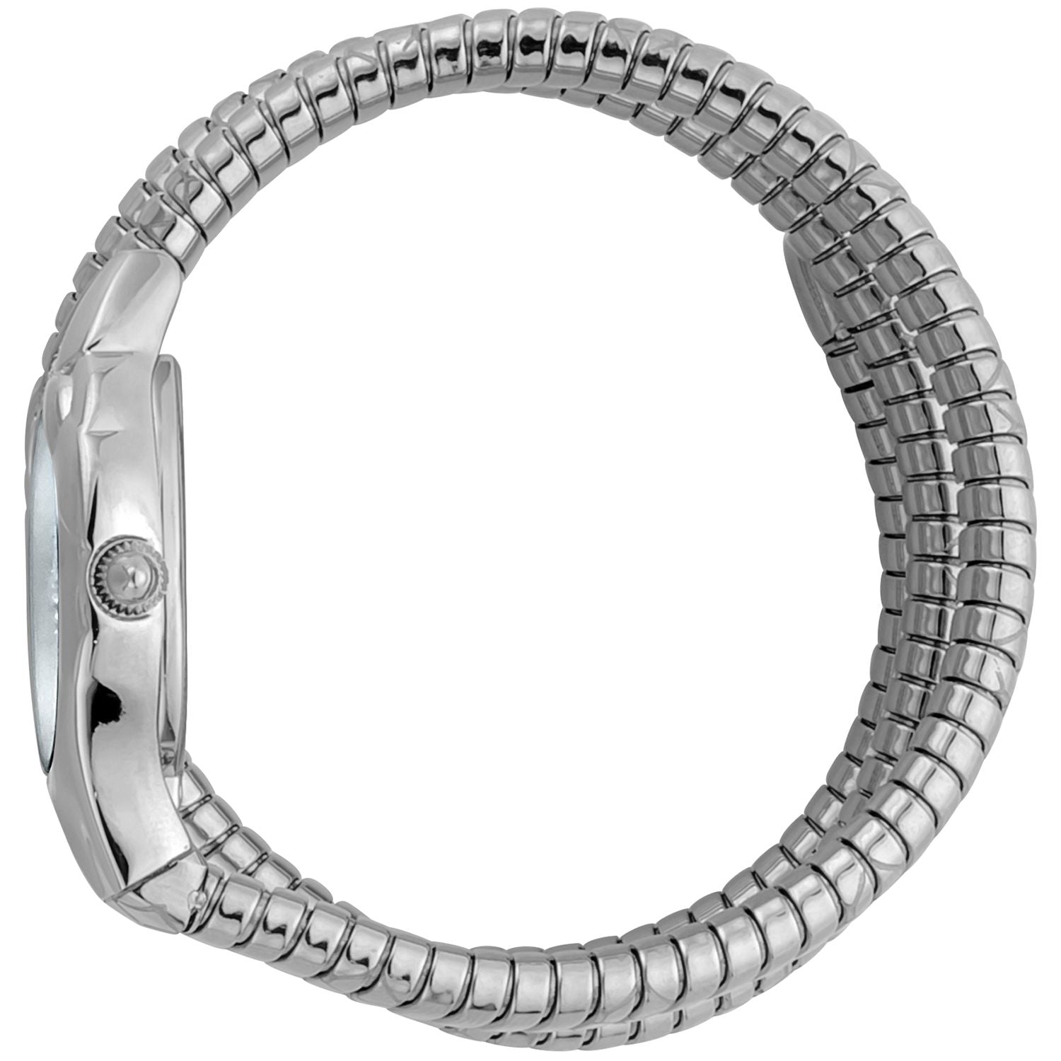 Silver Women Watch