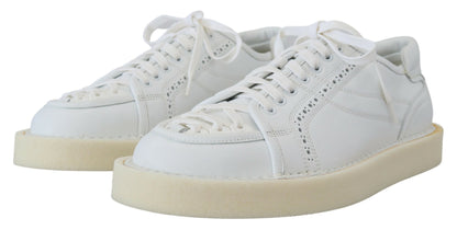 Elegant White Low Top Oxford Sneakers