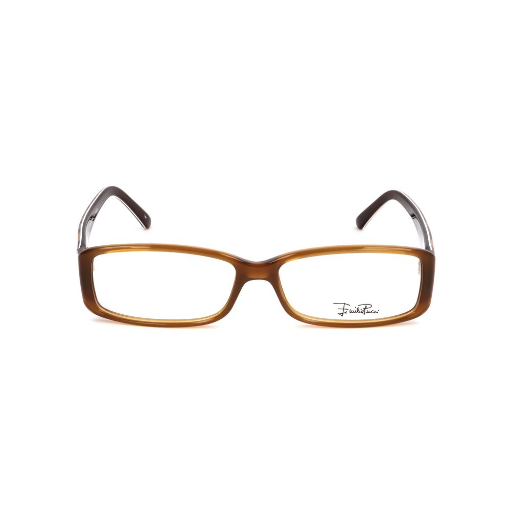 Brown Plastic Glasses (Frames)