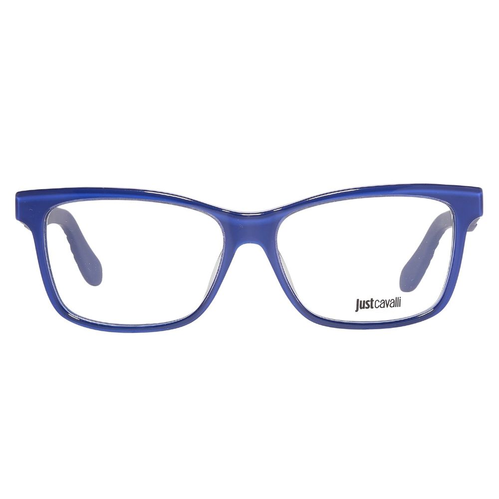 Blue Plastic Glasses (Frames)