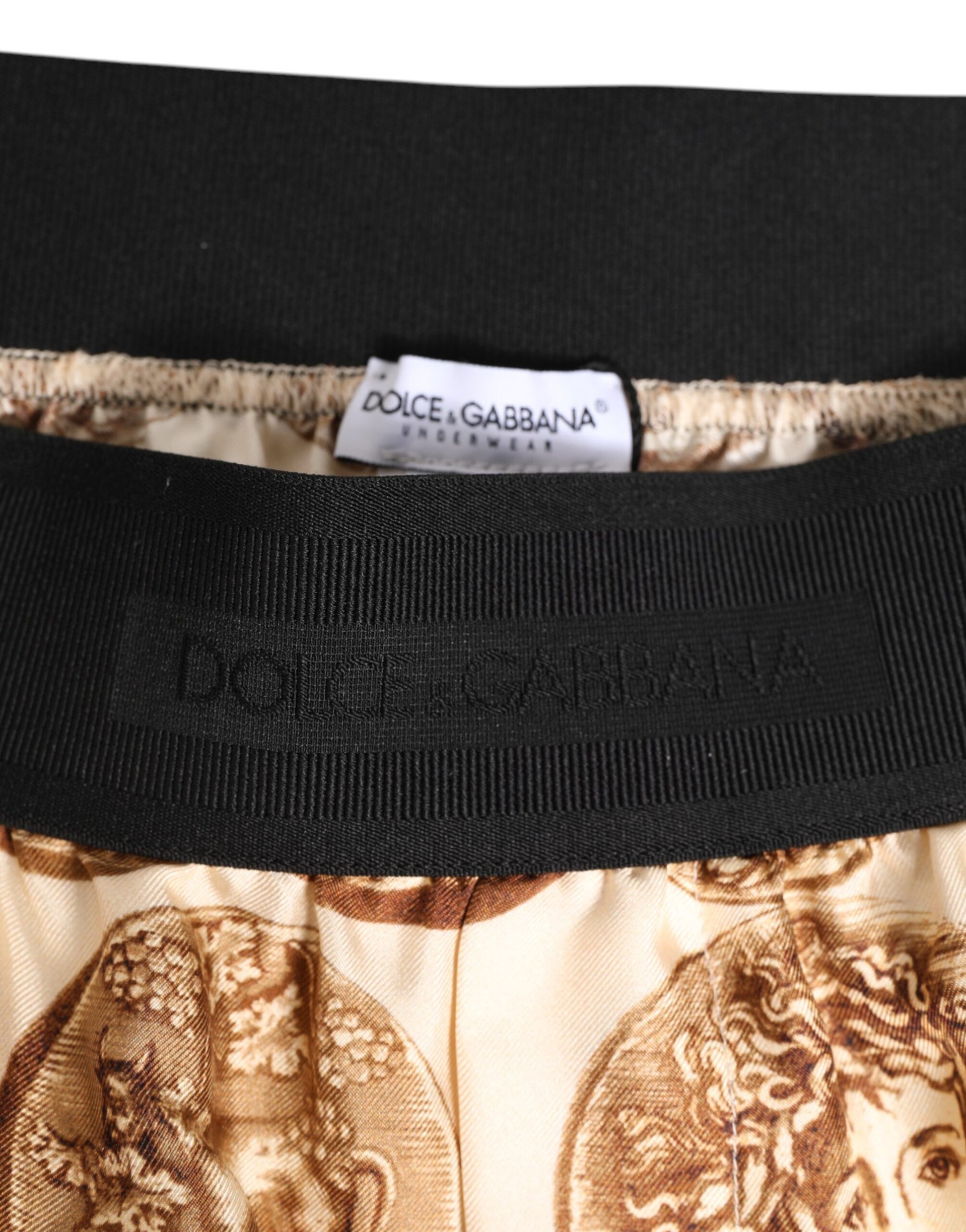 Brown Ancient Coin Print Silk Shorts Swimwear