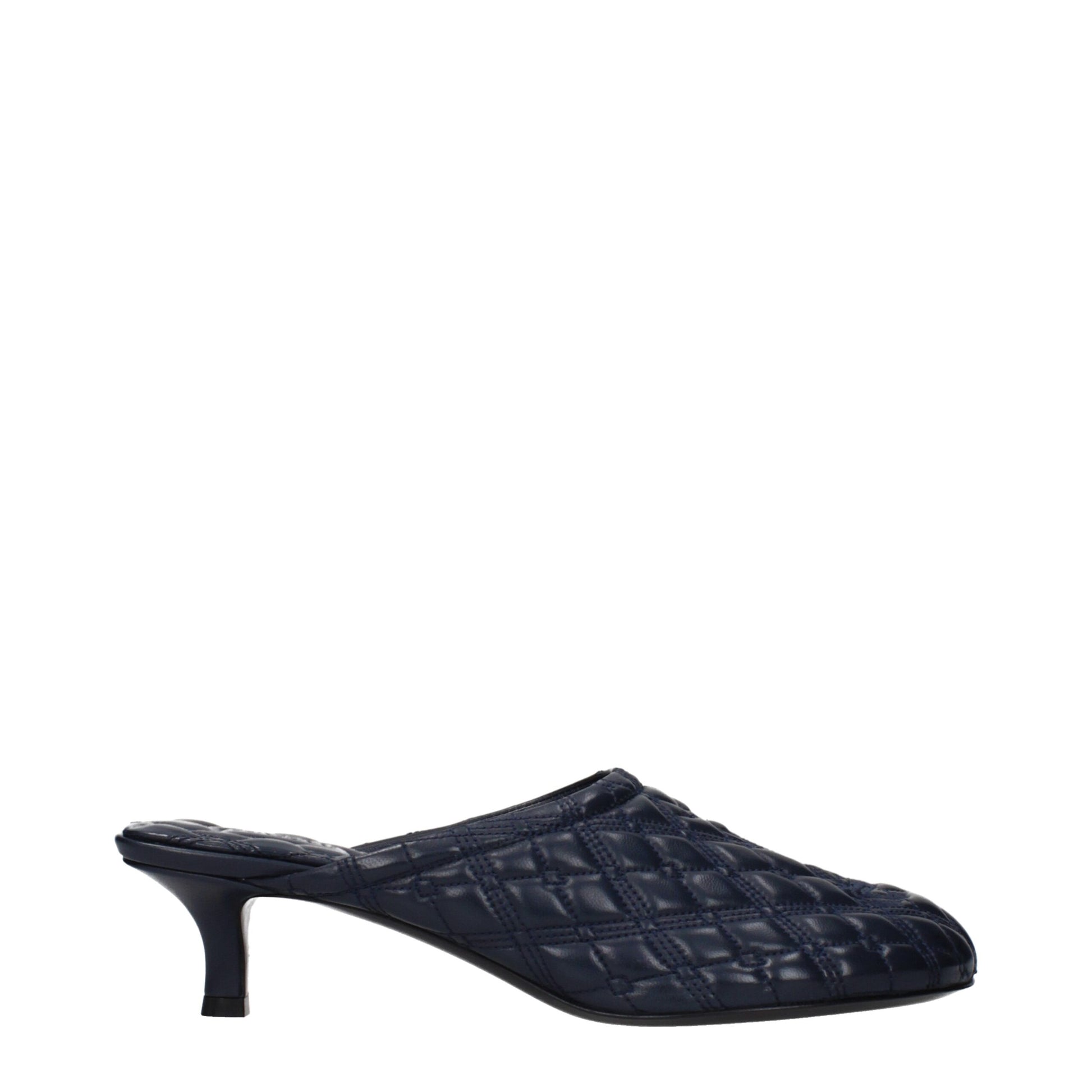 Blue Leather Slippers