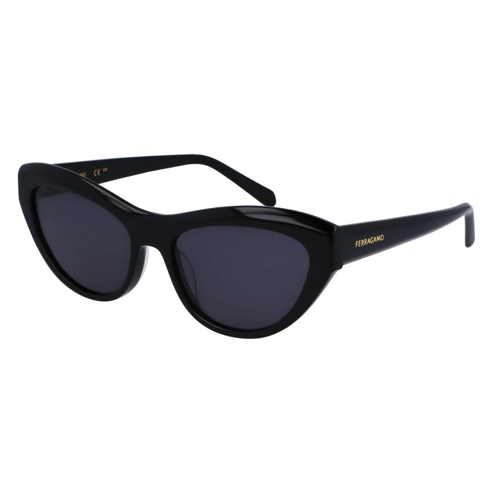 Black Acetate Sunglasses